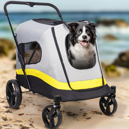 Pet Care Cartoz.