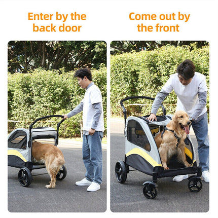 Pet Care Cartoz.