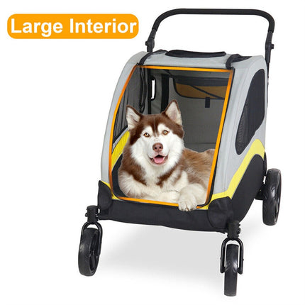 Pet Care Cartoz.