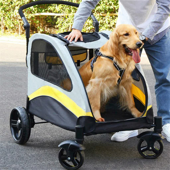 Pet Care Cartoz.