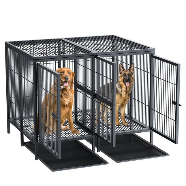 Pet Care.