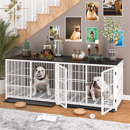 Pet Care Cartoz.