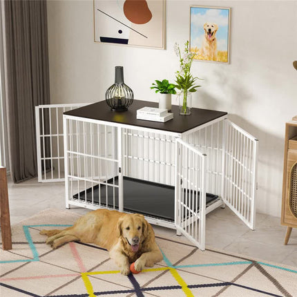 Pet Care Cartoz.