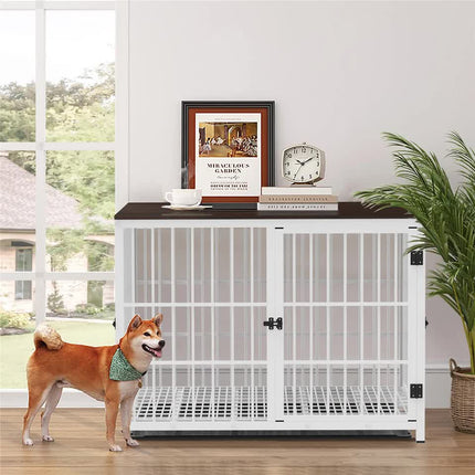 Pet Care Cartoz.