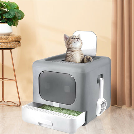 Pet Care Cartoz.
