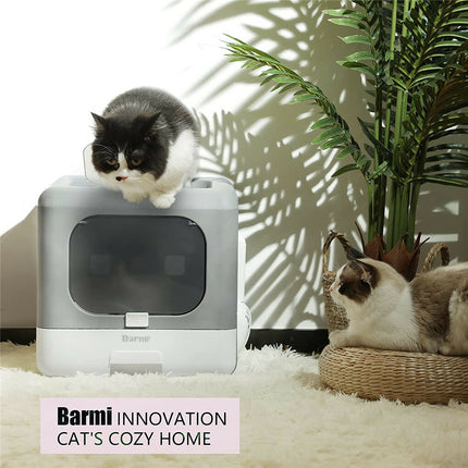 Pet Care Cartoz.