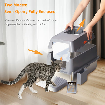 Pet Care Cartoz.