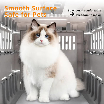 Portable Cat Travel Carrier Collapsible Plastic Kitten Pet Carry Crate.