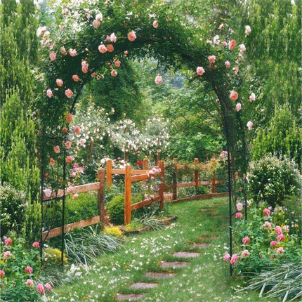 Rustproof Metal Garden Patio Arch Rose Arbour Archway Climbing Plant Trellis AU.