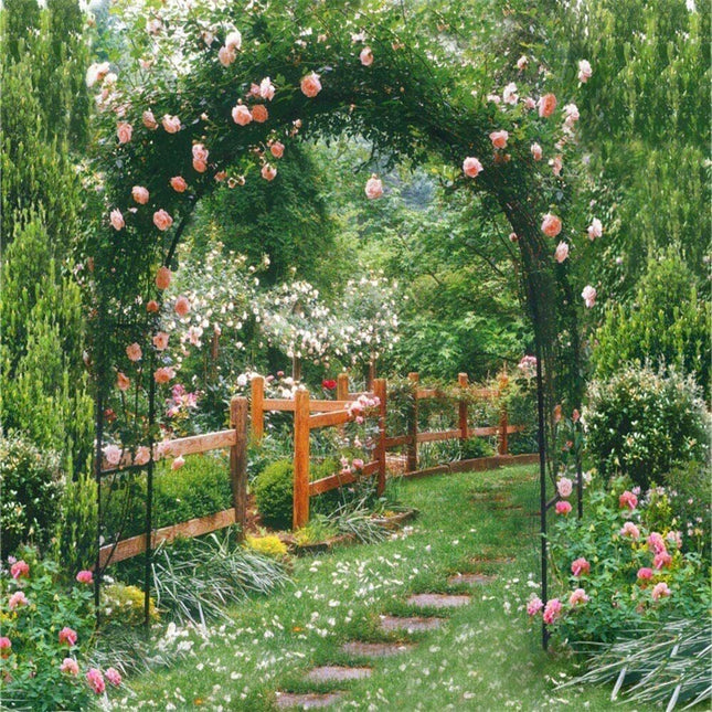 Rustproof Metal Garden Patio Arch Rose Arbour Archway Climbing Plant Trellis AU.