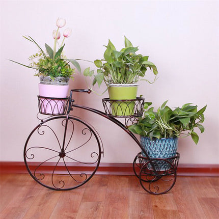 Home & Garden Cartoz.
