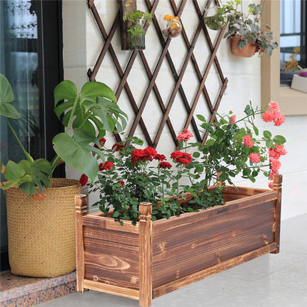 Home & Garden Cartoz.