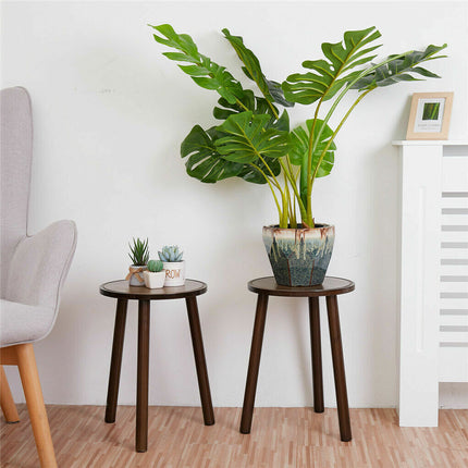 Furniture Cartoz.