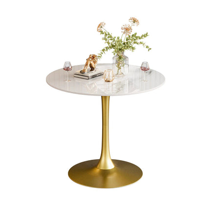 Furniture Cartoz.