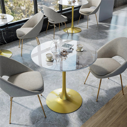 Furniture Cartoz.
