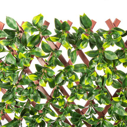 Jasmine Artificial Hedge Extendable Trellis / Screen 2 Meter By 1 Meter UV Resistant (PVC).