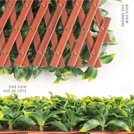 Jasmine Artificial Hedge Extendable Trellis / Screen 2 Meter By 1 Meter UV Resistant (PVC).