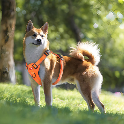 Reflective Dog Harness with Leash, No-Pull Vest Harness for Dogs, Adjustable Dog Vest with Handle, Walking Training Pet Harness L size.
