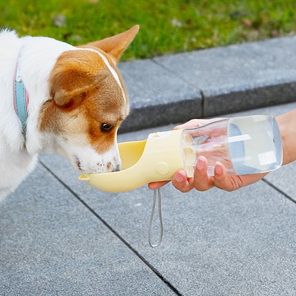 Pet Care.