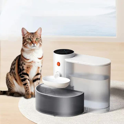 Pet Care Cartoz.