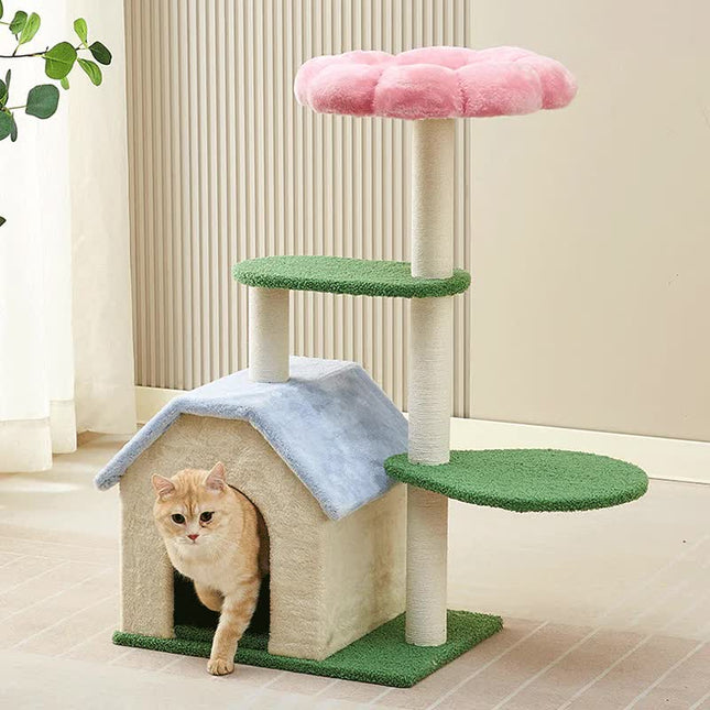 Pet Care.