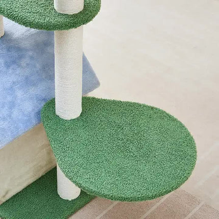 Pet Care Cartoz.
