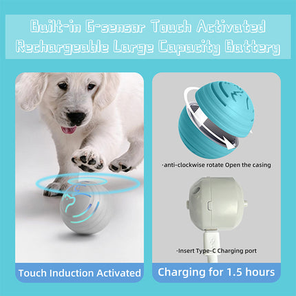 Pet Care Cartoz.