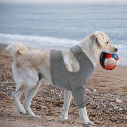 Pet Care.