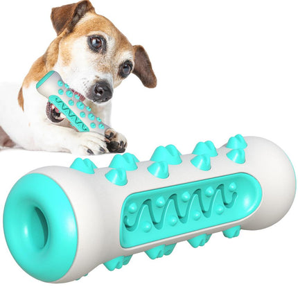 Pet Care Cartoz.