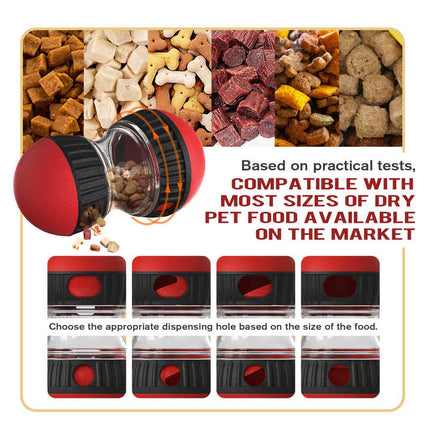 Pet Care Cartoz.