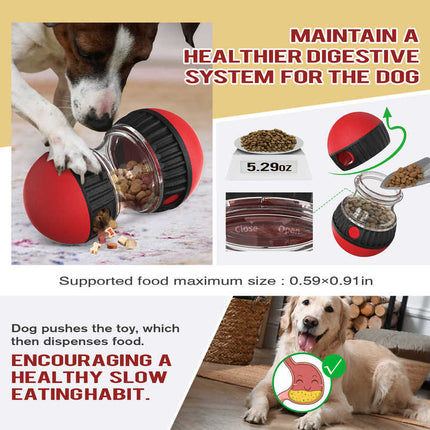 Pet Care Cartoz.