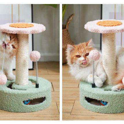 Pet Care Cartoz.