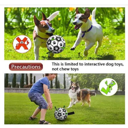 Pet Care.