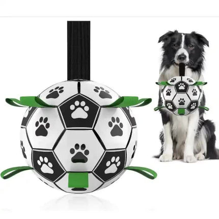 Pet Care.