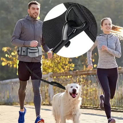 Black Portable Dog Training Bag - Multi-Function Pet Snack Pouch, Waste Bag Holder, and Training Waist Bag for Dog Walking and Outdoor Adventures.