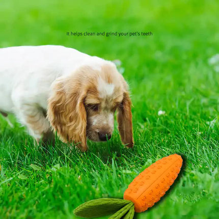 2 PCS Durable Rubber Carrot Dog Toy – Squeaky Chew Toy for Large Dogs, Puppy Teething & Dental Care, Interactive Play for Bored Pets.