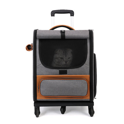 Pet Care Cartoz.
