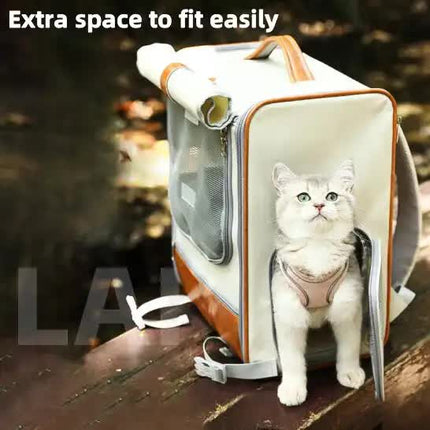 Pet Care Cartoz.