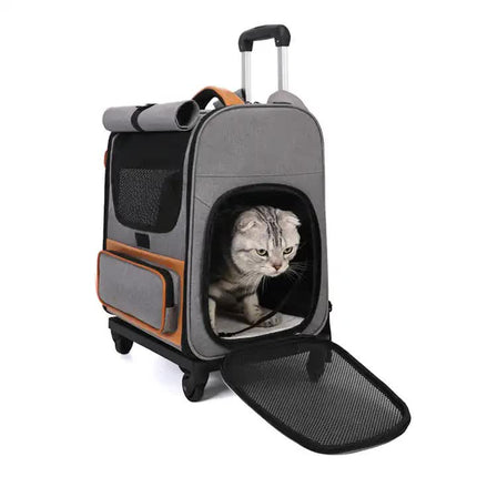 Pet Care Cartoz.