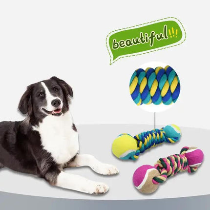 Pet Care Cartoz.