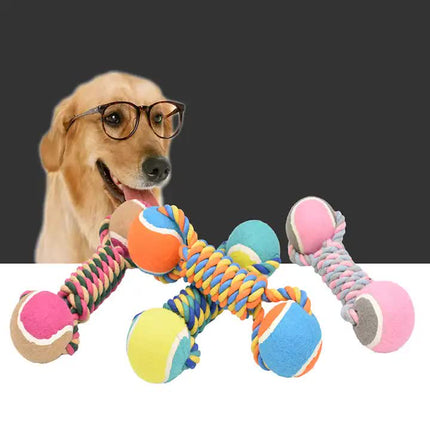 Pet Care Cartoz.
