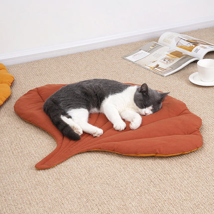 Pet Care Cartoz.