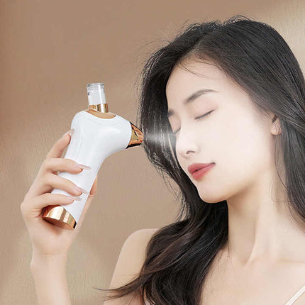 Pink Portable Oxygen Injector for Face Hydration and Skin Rejuvenation, 40ml USB Rechargeable Atomizer.