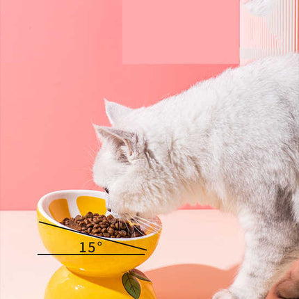 Ceramic Elevated Pet Food Bowl - Cute Pitaya Pattern Design for Cats and Small Dogs.