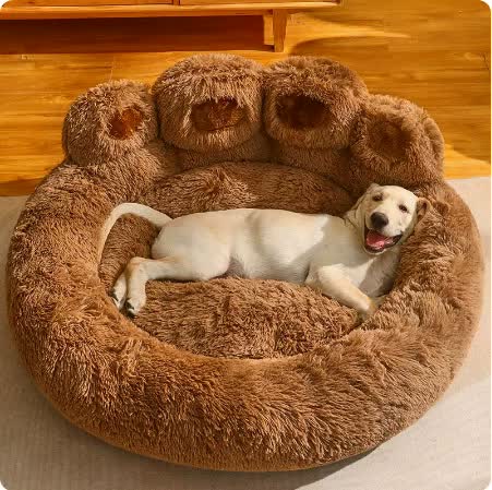 Pet Care.