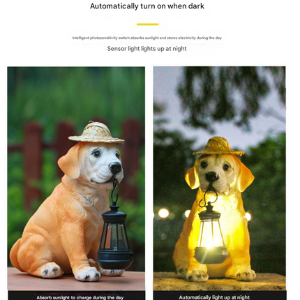 Home & Garden Cartoz.