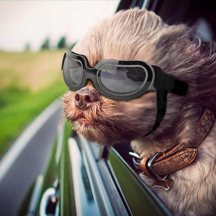 Black Lenses Pet Sunglasses for Dogs and Cats - UV Protection, Adjustable Strap, Anti-Wind and Anti-Fog Pet Goggles.