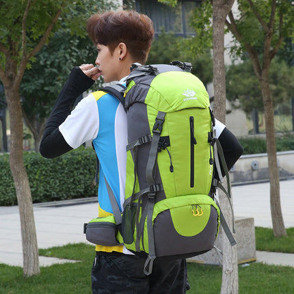 Home & Garden Cartoz.