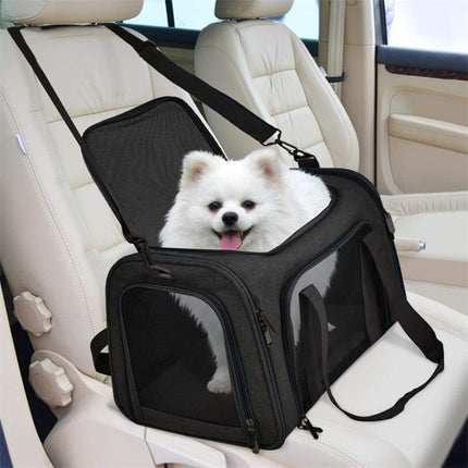 Pet Care Cartoz.