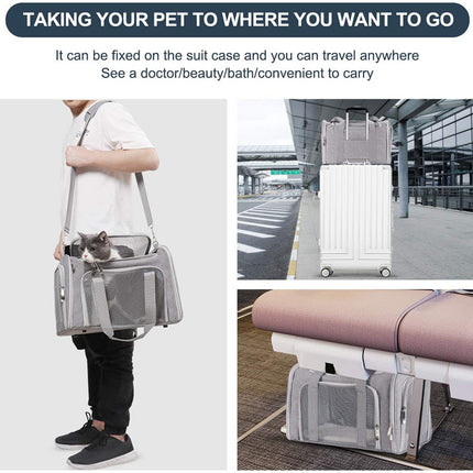 Pet Care Cartoz.
